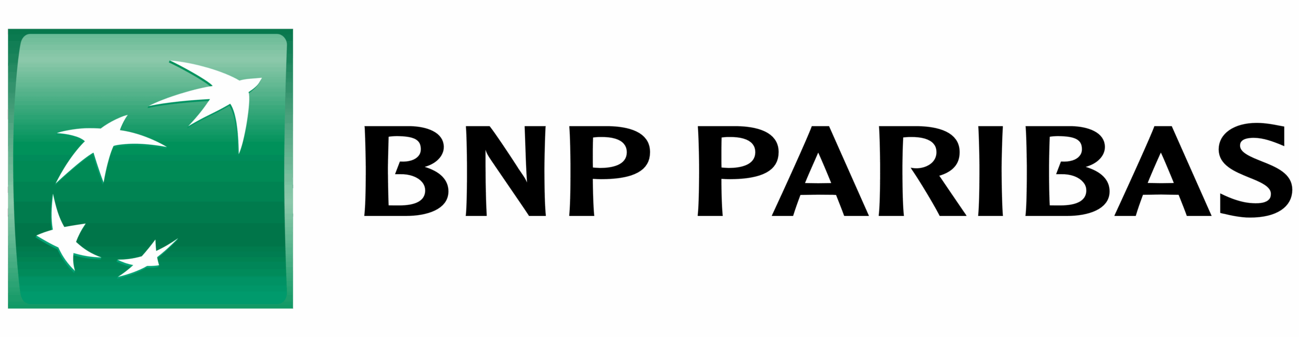 05-bnp-min